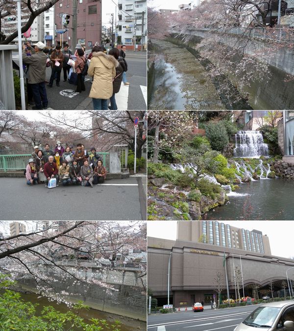 神田川花見ツアーの写真